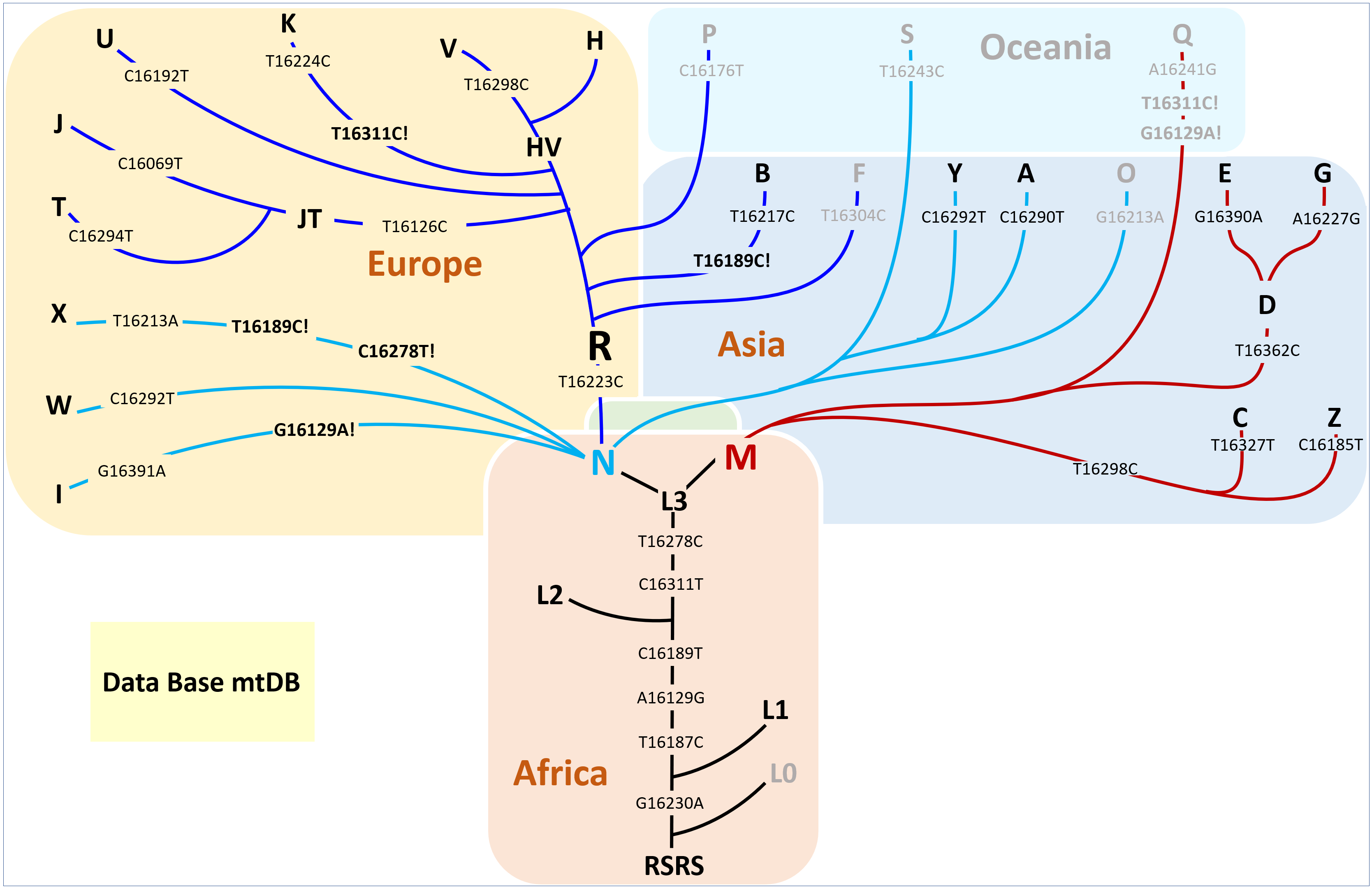 haplogroup map